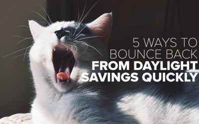 recover-from-daylight-savings recover-from-daylight-savings